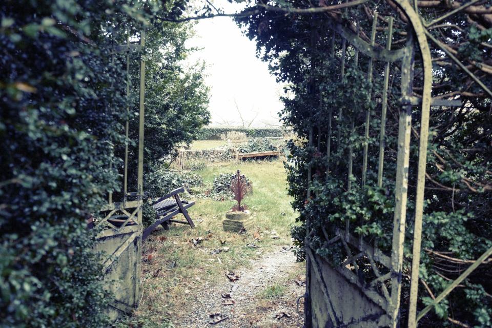 Backyard reclaimed